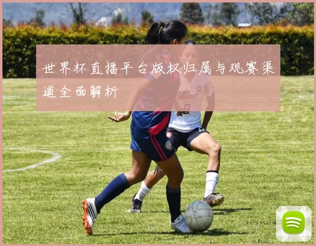 世界杯直播平台版权归属与观赛渠道全面解析