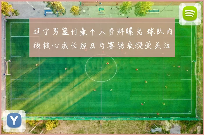 辽宁男篮付豪个人资料曝光 球队内线核心成长经历与赛场表现受关注