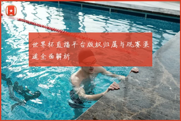 世界杯直播平台版权归属与观赛渠道全面解析