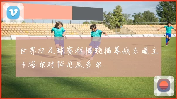 世界杯足球赛程揭晓揭幕战东道主卡塔尔对阵厄瓜多尔