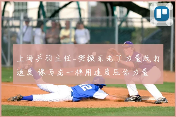 上海乒羽主任_樊振东老了力量改打速度 像马龙一样用速度压你力量