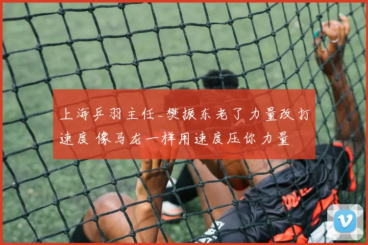 上海乒羽主任_樊振东老了力量改打速度 像马龙一样用速度压你力量